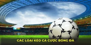 Các loại kèo cá cược bóng đá - Hiểu thuật ngữ để chiến thắng