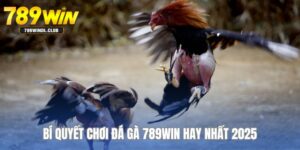 Bí Quyết Chơi Đá Gà Chuẩn Không Cần Chỉnh Mới Nhất 2025